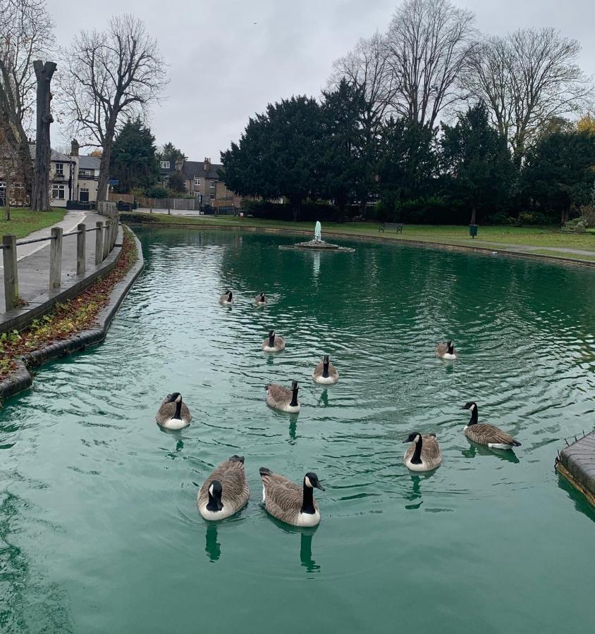 Beddington Park Lodge West Wallington Exteriör bild